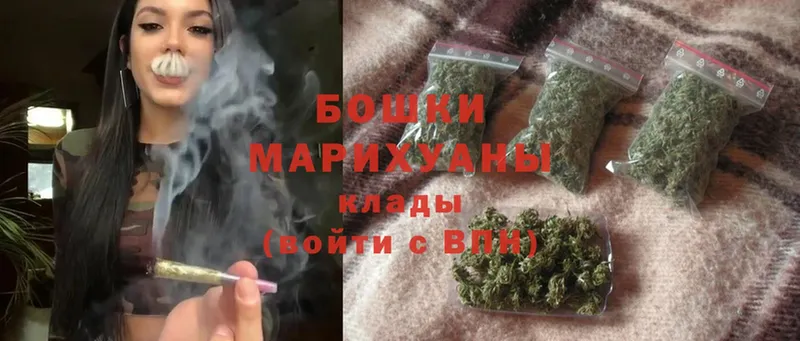 МАРИХУАНА SATIVA & INDICA  Пудож 